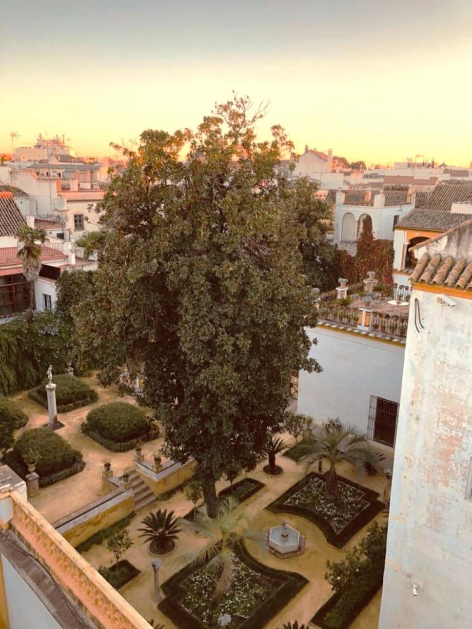 Апартаменти Atico Caleria Con Vistas A La Giralda Севілья Екстер'єр фото